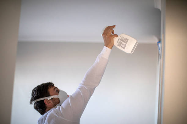 Best Local Mold Removal Service  in Morse, LA