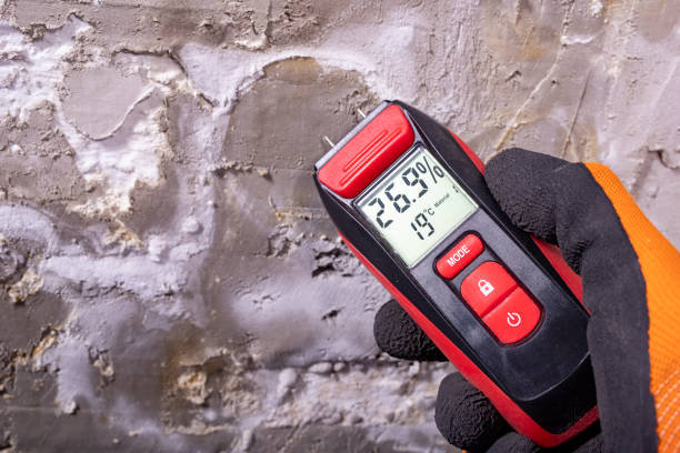 Home Mold Removal in Morse, LA