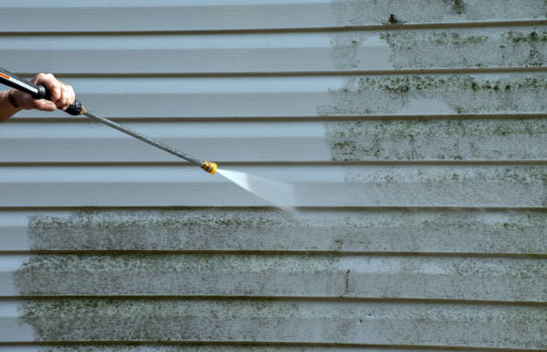 Mold Removal and Inspection in Morse, LA